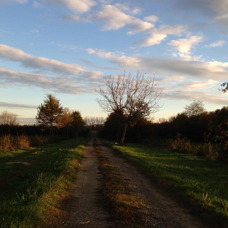 Agriturismo Cascina Nuova Villa Valenza Kültér fotó