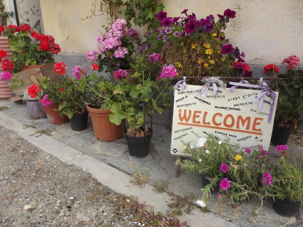 Agriturismo Cascina Nuova Villa Valenza Kültér fotó