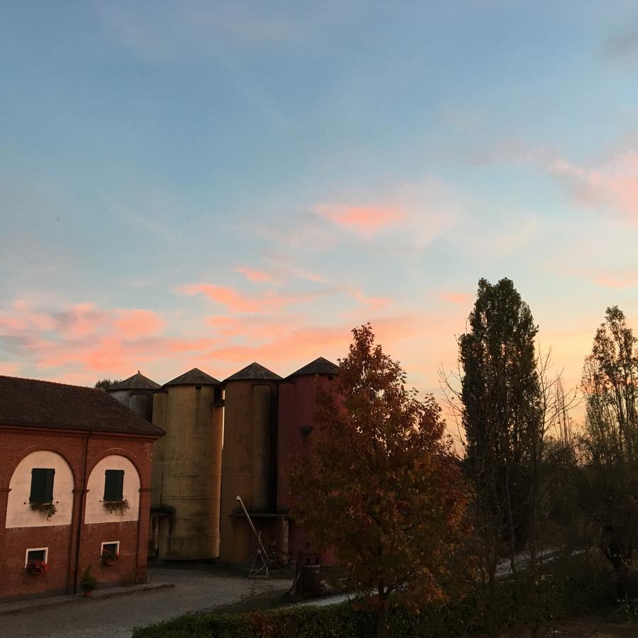 Agriturismo Cascina Nuova Villa Valenza Kültér fotó