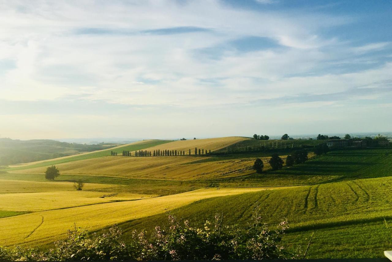Agriturismo Cascina Nuova Villa Valenza Kültér fotó